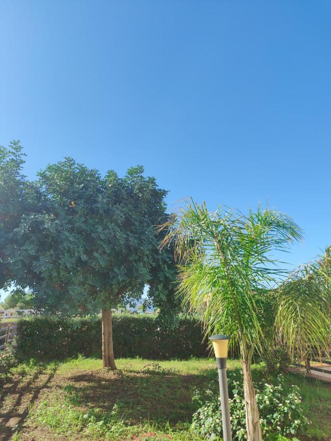 Villa Castiglione 库斯托纳奇 外观 照片