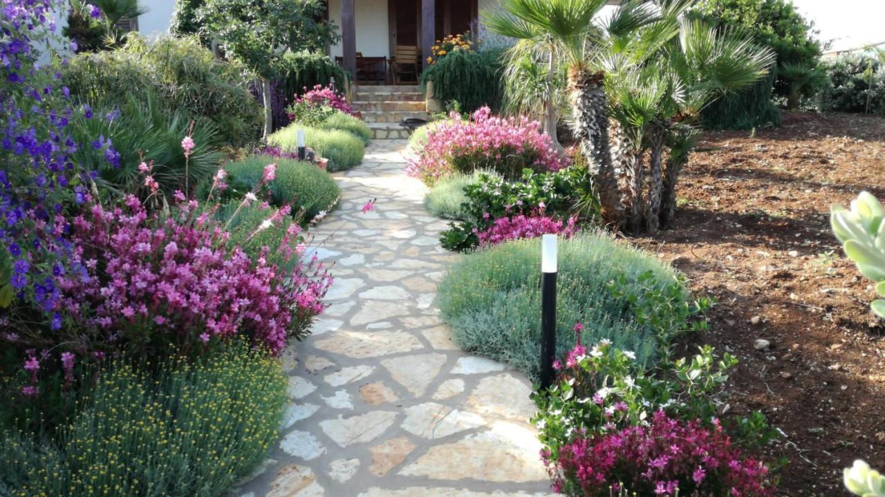 Villa Castiglione 库斯托纳奇 外观 照片